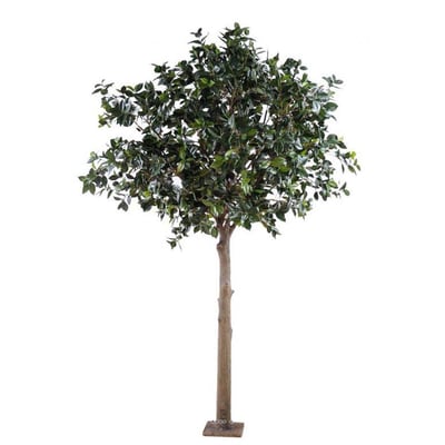Camelia japon factice H300cm Tronc bois ARTIFICIELLES