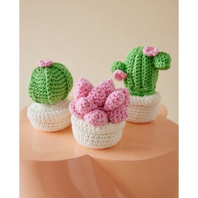 Kit Crochet Déco Cactus Aditi PINGOUIN