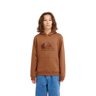 Sweat à capuche, avec motif devant, en molleton QUIKSILVER