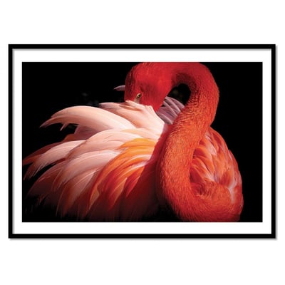 Affiche d’art et cadre noir 30 x 40 cm - Flamingo - Makoto Nishikura WALL EDITIONS