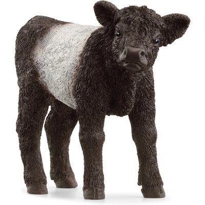 Figurine de veau Galloway SCHLEICH