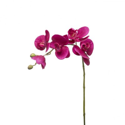 Tige d'orchidée phalaenopsis artificielle H47 SIA DECO