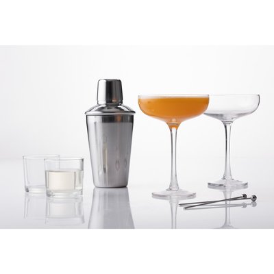 Entertain Martini Cocktail Set RAVENHEAD