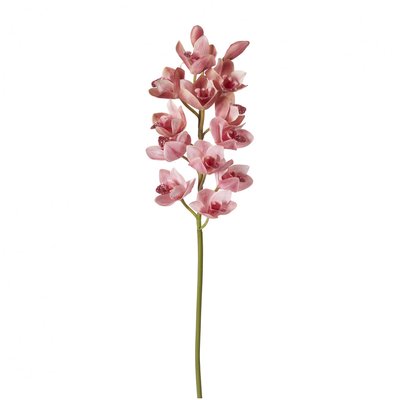 Tige d'orchidée cymbidium artificielle H100 SIA DECO