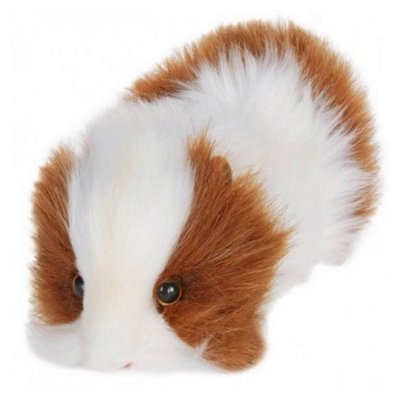 Cobaye Roux et blanc 20cm HANSA