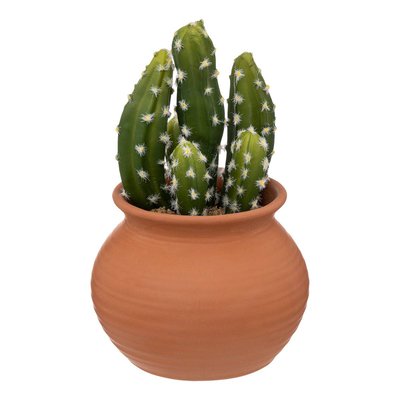 Cactus artificiel ATMOSPHERA