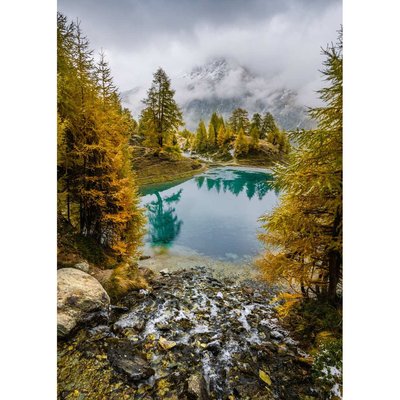 Tableau Mural Automne GRANDS ESPACES CEANOTHE