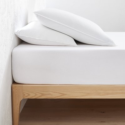 Drap housse jersey coton, bonnet 30cm, Scenario LA REDOUTE INTERIEURS