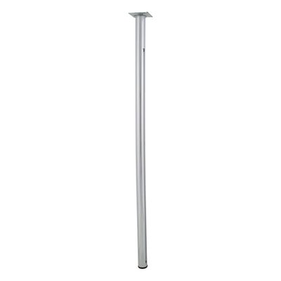 Pied Métallique Cylindrique Acier H800 Mm X D30 Mm EVOLUDIS