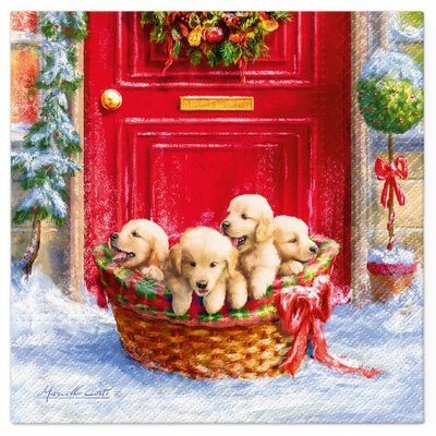 Lot de 20 serviettes en papier Chiots de Noel DOUCEUR D'INTÉRIEUR