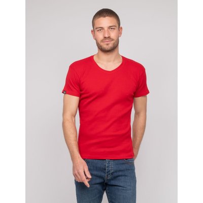 T Shirt Col V Coton Cottelé William RITCHIE