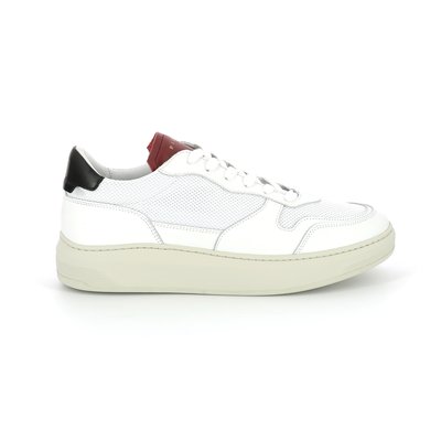 Sneakers basses Cuir CAYMA PIOLA