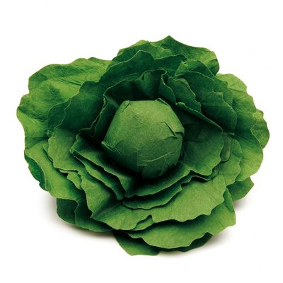 Laitue verte ERZI
