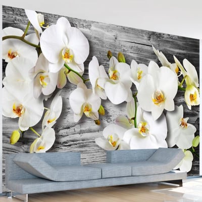 Papier peint intissé panoramique Fleurs Callous orchids III EDEN