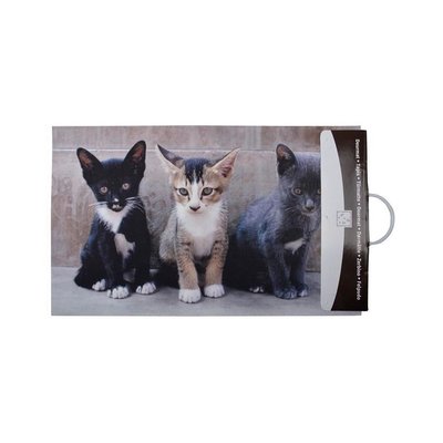 Paillasson déco en caoutchouc recyclé intérieur extérieur Chatons JARDINDECO