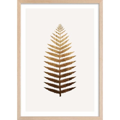 Affiche fleurs Fougere d'or HEXOA