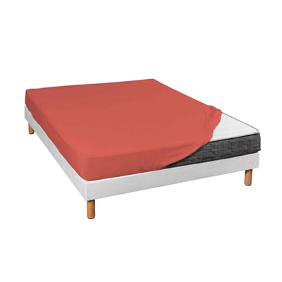 Drap housse coton jersey bonnet 30 cm TERRE DE NUIT