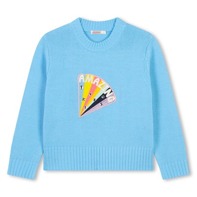 Pull en tricot BILLIEBLUSH
