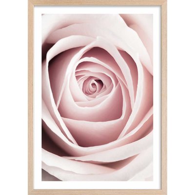 Affiche  coeur de roses HEXOA