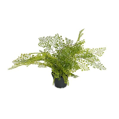 Adiantum plante verte artificielle en pot ARTIFICIELLES