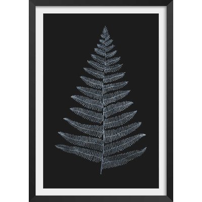 Poster fougère royale blanche HEXOA