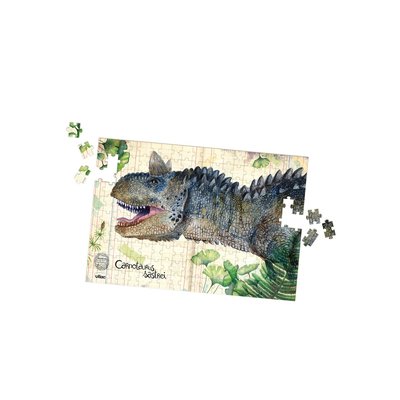 3 puzzles dinosaures Museum 200 pièces VILAC