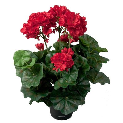 Géranium artificiel Rouge 6 têtes en pot ARTIFICIELLES