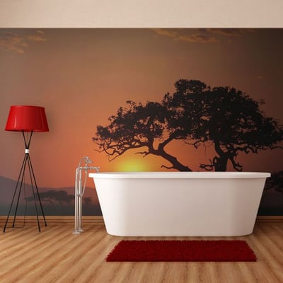 Papier peint intissé panoramique Paysage Afrique: coucher de soleil EDEN