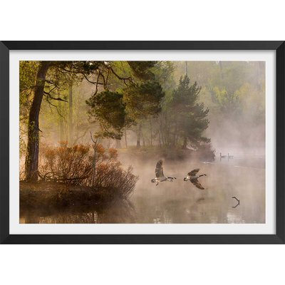 Affiche paysage oies sauvages HEXOA