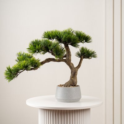 45cm Artificial Pine Tree Bonsai in Cement Effect Pot SO'HOME