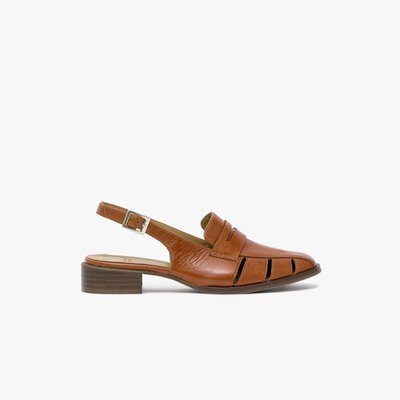 Derby CLEO BOCAGE