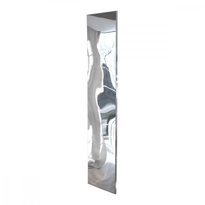 Miroir déformant 200x45cm VIDAME CREATION