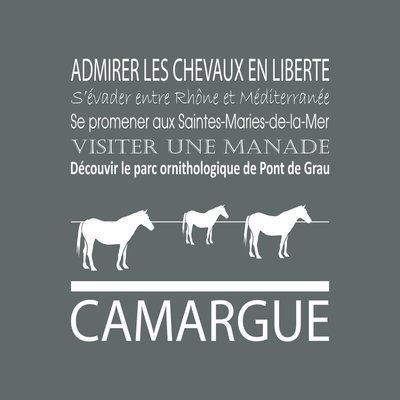 Tableau Mural Camargue ILLUSTRATION CEANOTHE