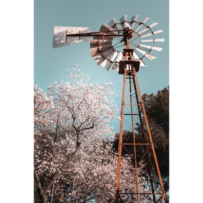 Tableau mural moulin CEANOTHE