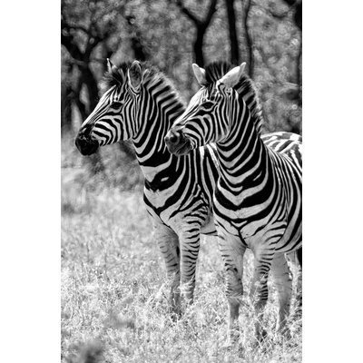 Tableau animaux zebre en duo HEXOA