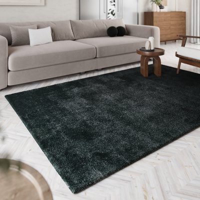 Tapis à poils longs doux pour salon ,  PISA HOMIE LIVING