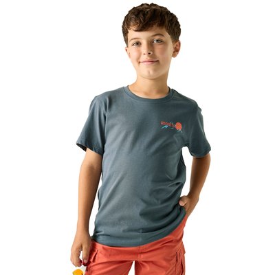T-shirt motif/style scène de montagne BOSLEY REGATTA