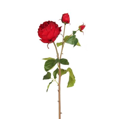 Tige de rose fermée artificielle H80 SIA DECO