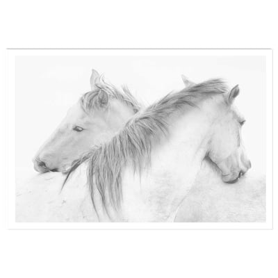 Poster chevaux blancs au crayon de bois HEXOA