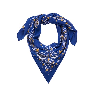 Foulard medium à motifs PAISLEY WILD