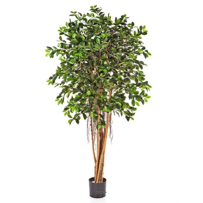 Ficus Retusa artificiel H 150 cm 1440 feuille ARTIFICIELLES