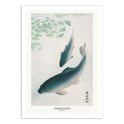 Affiche d’art 50 x 70 cm - Carp Or Koi - Pictufy WALL EDITIONS