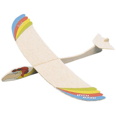 Planeur Bird AERONAUT