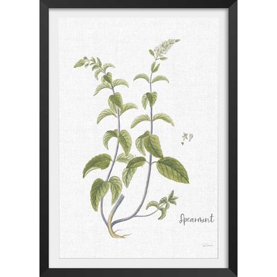 Affiche fleurs Menthe verte illustrée HEXOA