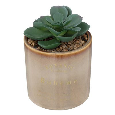 Plante artificielle BOTA ATMOSPHERA