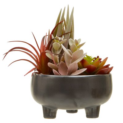 24cm Artificial Fiori Mixed Succulent in Grey Ceramic Pot SO'HOME