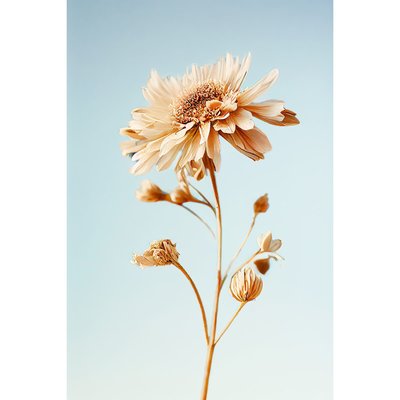 Tableau Mural Fleur FLEUR CEANOTHE