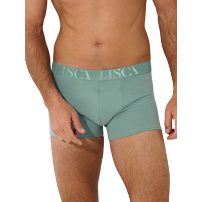 Boxer Odysseus LISCA