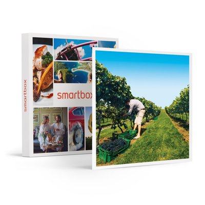 À la découverte de nos vignobles- SMARTBOX - Coffret Cadeau Gastronomie SMARTBOX