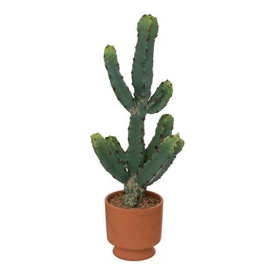 Cactus artificiel ALI ATMOSPHERA